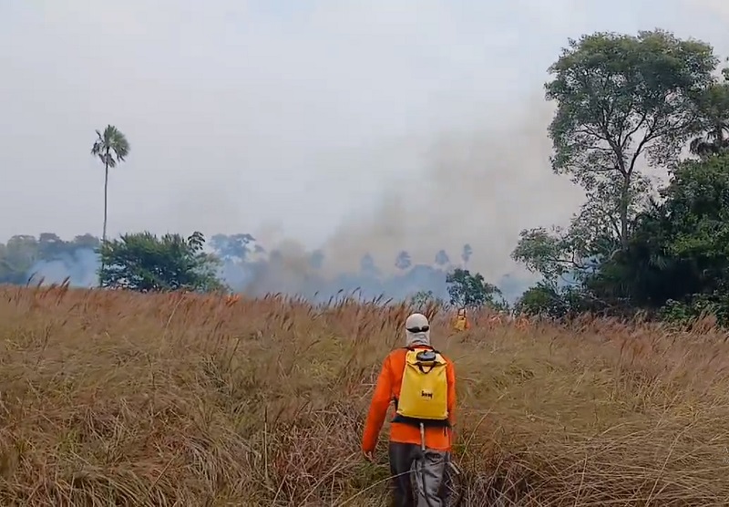 Atualização sobre o fogo no Pantanal – 23/11/2023 - IHP