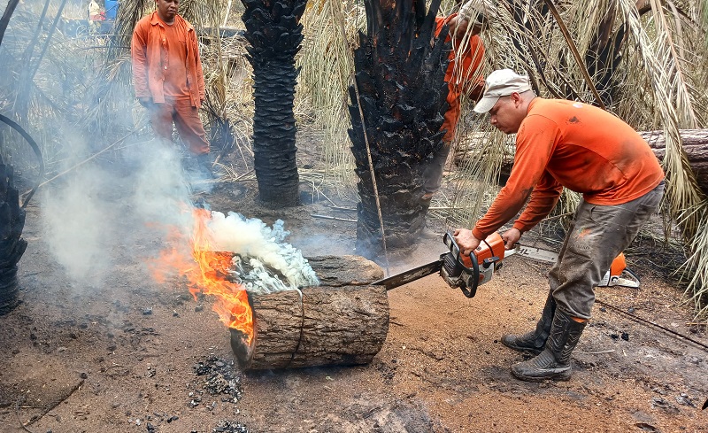 Atualização sobre o fogo no Pantanal – 23/11/2023 - IHP