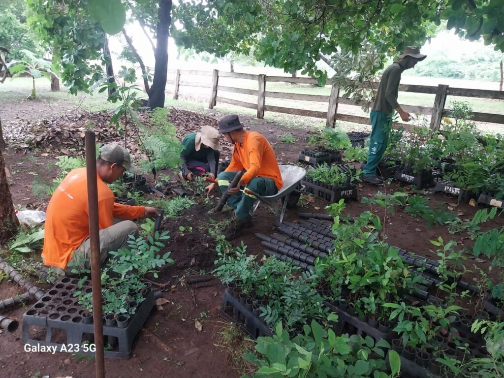 Brigada Alto Pantanal durante o Plantio de Mudas